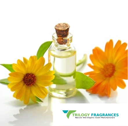 Perfume & Fragrance Manufacturers