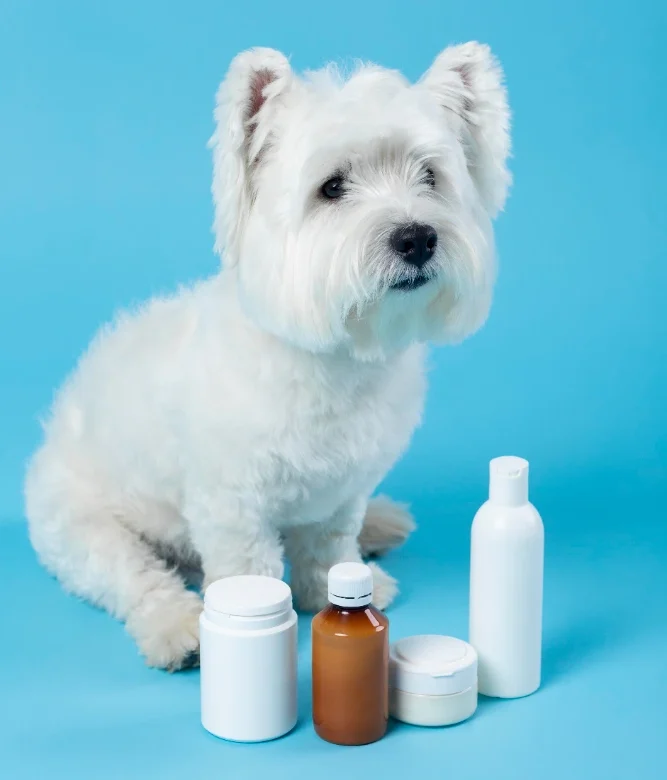 Pet Care Fragrances