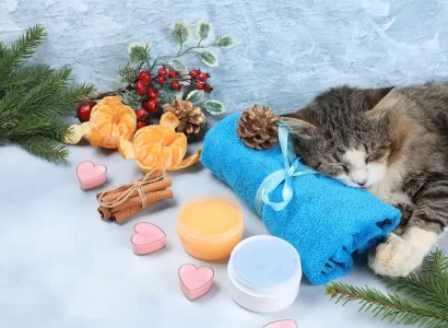 Pet Care Fragrances